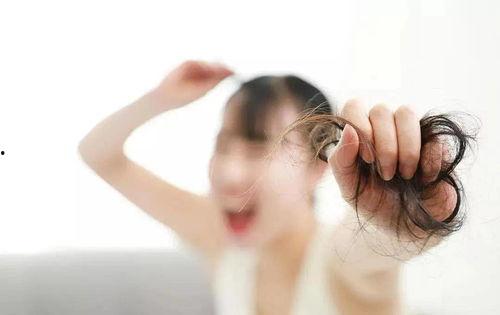 日韩有脱发困扰吗视频,揭秘脱发困扰背后的真相
