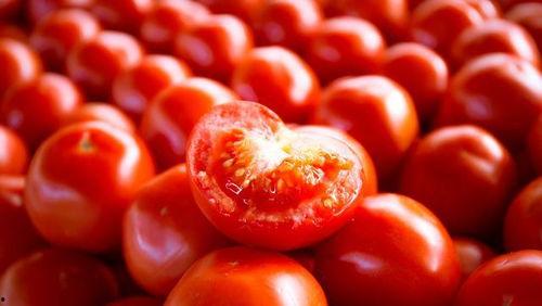 西红柿视频 亚洲