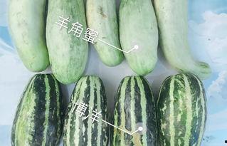南通网红爆料吃瓜,揭秘吃瓜背后的惊人真相！